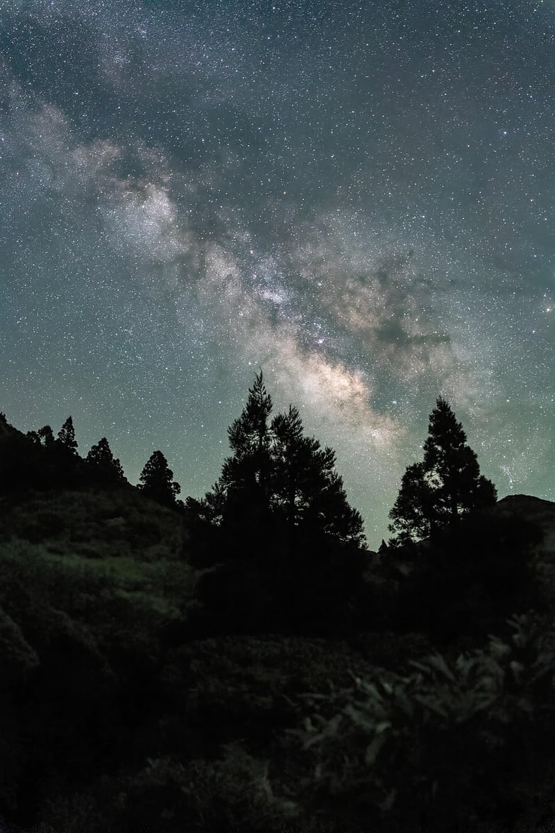 Starry Serenades